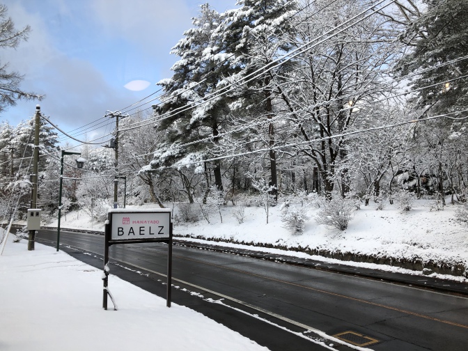 2019年12月23日ベルツの庭より